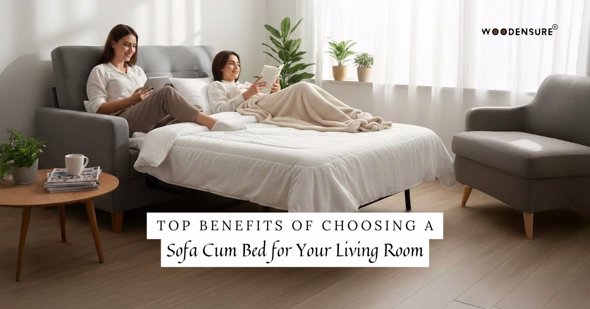 Top Benefits of Choosing a Sofa Cum Bed for Y ..