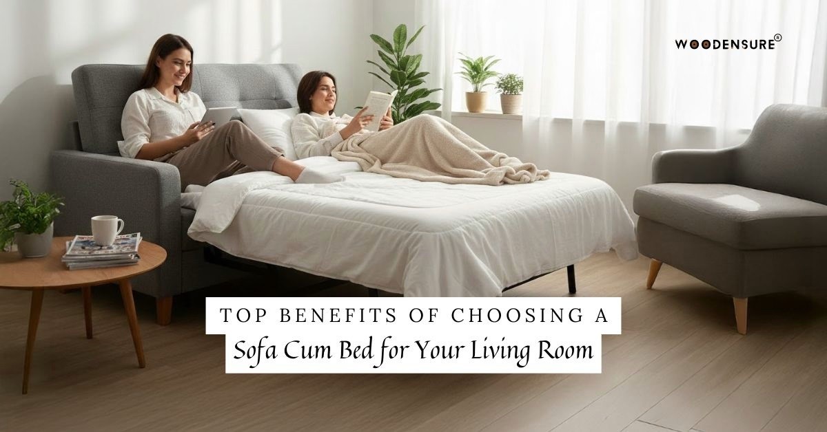 Top Benefits of Choosing a Sofa Cum Bed for Your L...