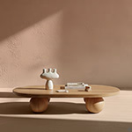 Shopping Category Shelf