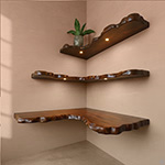 Shopping Category Shelf